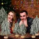 Sosation 6 Pcs Mini Christmas Tree Villages Tabletop Bottle Brush Trees Desk Small Christmas 6 Size Norfolk Pine Xmas Tree with Wooden Bases Spray Snow Separate for Table Indoor Winter Gift Decor