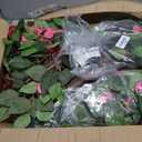 2Pack 4FT Artificial Bougainvillea Topiary Trees for Outdoor, Fake Silk Flowers Plants Bushes with Ground Spike, Faux UV Resistant Shurbs Trees for Outside,Front Porch,Patio,Balcony Decor