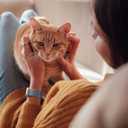 Wepro Stretchy Solo Loop, Compatible with Apple Watch Band 38mm 40mm 41mm 42mm 44mm 45mm 46mm 49mm for Women Men, Soft Nylon Elastic Breathable Strap for iWatch Series SE 10 9 8 7 6 5 4 3 2 1 Ultra (Blue Grey)