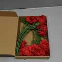 Red Carnations Artificial Flowers 15pcs Real Touch Carnation Flowers Silk Flowers with Stems for Wedding Bouquets for Bridal Home Table Centerpieces Floral Arrangements (Red)