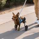 VEVOR Dog Wheelchair for Back Legs, Adjustable 2 Wheels Pet Wheelchair, Lightweight Dog Cart with Shock-Absorbing Wheels, Mobility Support Wheel Chair for Disabled Injured Dogs up to 22lbs, X-Small