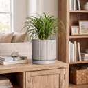 8 Inch Plant Pots, Ceramic Flower Pot, Round Planter with Tray, Grey