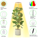 yadoker Plant Grow Light, LED Growing Light Full Spectrum for Indoor Plants,Aluminum Walnut Wood Grain Plant Lights,Height Adjustable, Automatic Timer, 5V Low Safe Voltage,Idea for Large