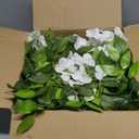 U'Artlines 12 Pack(Total 43.2 Feet) Artificial Fake Wisteria Vine Rattan Hanging Garland Silk Flowers String Home Party Wedding Decor (12, White)