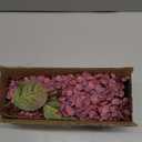 Ttranewsoo Burgundy Hydrangea Artificial Flowers,Fall Hydrangeas Artificial Flowers, Fake Fall Dried Hydrangea Decoration,Faux Silk Flower with Stems Winter Decor(Red Rose 24" 8pcs) Without Vase