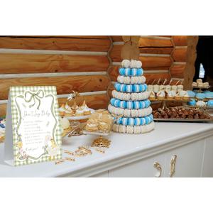 Don't Say Baby Shower Game, Baby Shower Clothes Pin Game, Green Silly Goose Sign and 50 Clothespins, Mother Goose and Gosling Gender Reveal Activities, Gender Reveal Party Decoration Supplies, 17