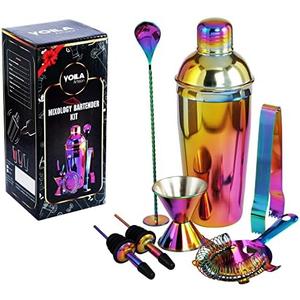 Voila Artisan 11 Pcs Premium Cocktail Shaker Set Bartender Kit, Rainbow