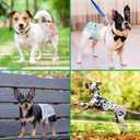 Pet Soft Female Dog Diapers, 3 Pack Washable Dog Diapers Female for Dogs in Heat Reusable Dogs Period Panties, Puppy Diapers (Animals, XS) (X-Small:7''-10'')