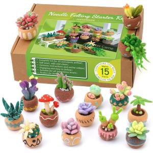 Needle Felting Kit, 15 Pcs Succulent Beginner Needle Felting Kit, Needle Felting Tools, Wool Felting Kit Including Wool Roving, Foam Mat, Felting Needles and Instructions for Diy Felting Starters