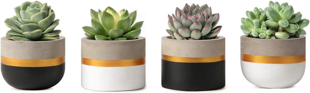 Mkono 3 Inch Mini Succulent Pots Concrete Planter Set, Modern Tiny Container for Indoor Plants, Christmas Home Office Decor Gifts for Plant Lovers (Plant NOT Included) (3.7 Inch Cement - Gold, Silver, Gray, White)
