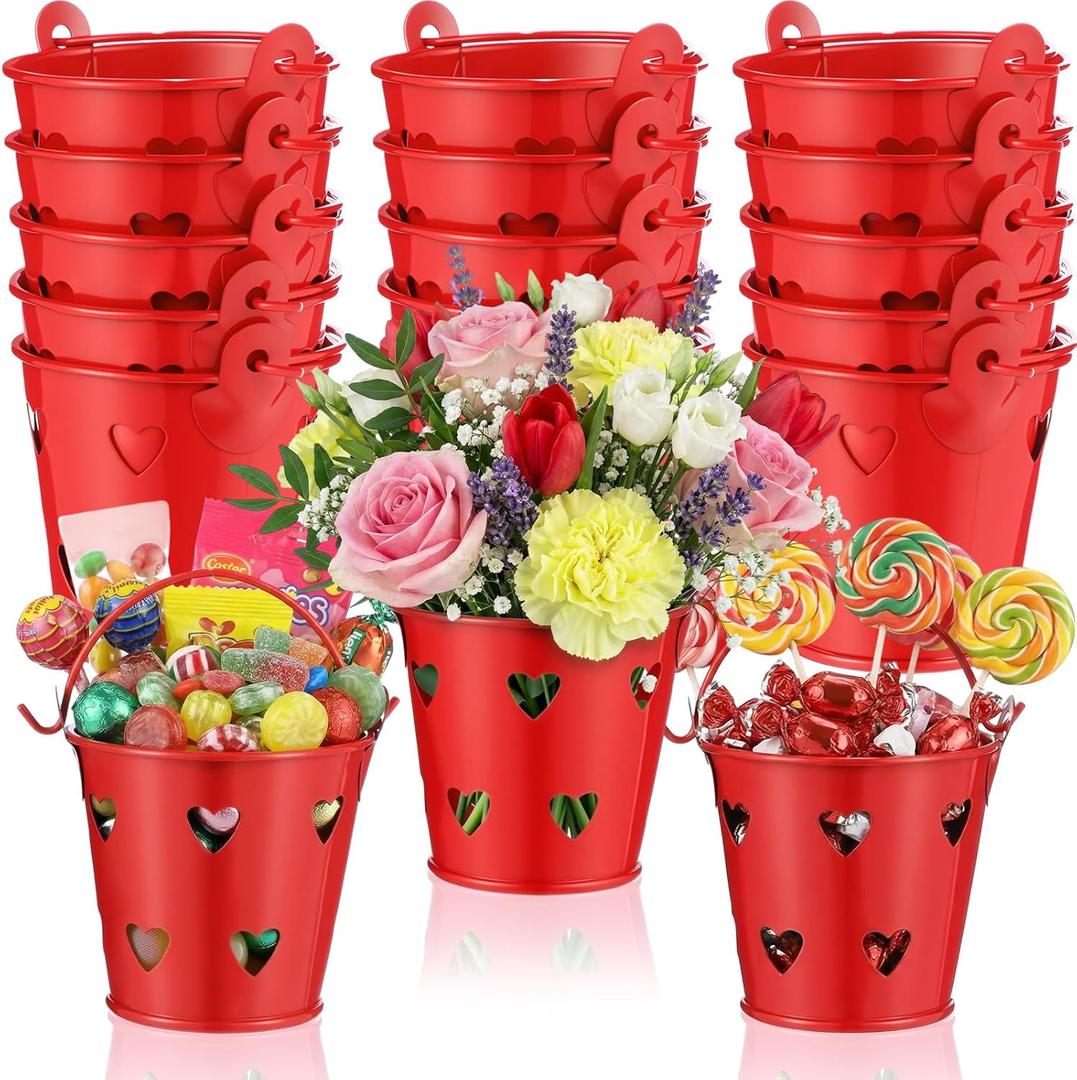 24 Pcs Valentine Small Gift Buckets with Handle Hollow Heart Shaped Red Metal Sand Bucket Bulk Valentines Party Favor for Crayon Candy Chocolate Flower Party Favor