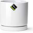 Aveyas 8-inch Ceramic Plant Pot with Drainage Hole and Saucer - Suitable for Indoor and Outdoor Use, Modern Planters for House Garden Flower Tree Snake Monstera Plants (8", Glossy White)