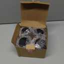 Glass Spice Jars, Double Lids Seasoning Shakers Glass Bottles Spice Shakers Sifter Barbecue Salt & Pepper Shaker Container (4PCS