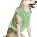 Wisedog No Pull Lightweight Dog Vest Harness with Soft and Comfortable Cushion, Breathable Mesh, for Small Medium Large Dogs Walking (L(Neck: 16.15"-20.86";Chest: 24.02"-38.19"), Sage Green)