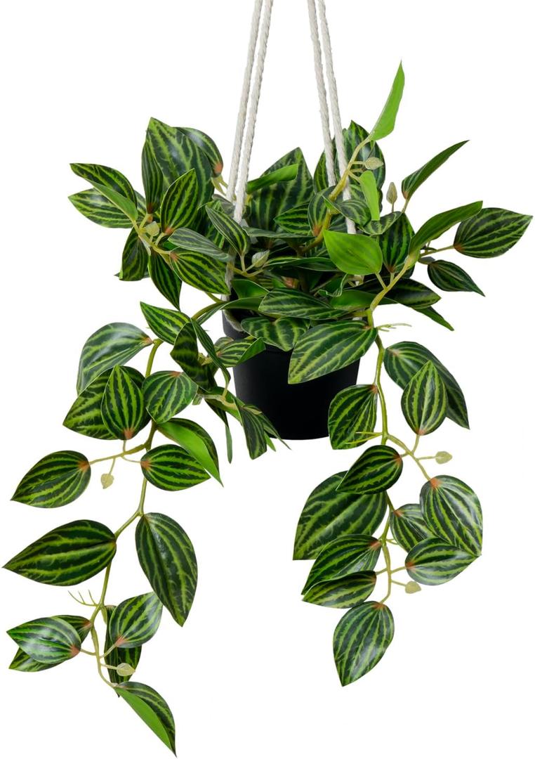 MyGift Wall Hanging Potted Artificial Leafy Plant in Black Pot with White Rope, Decorative Hanger Planter with Faux Plant Peperomia Angulata Vining Stems and Trailing Leaves