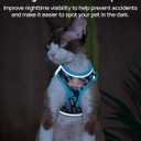 PetThem Upgraded Cat Harness and Leash Set - Step-in Escape Proof Adjustable Cat Harness, Comfortable Soft Lightweight, Reflective Harness for Walking, Travel, Camping (Butterfly Magic, S)