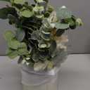 HOHOTIME Artificial Flowers with Vase, White Silk Roses Fake Flower Arrangement with Eucalyptus, Faux Plant Vase for Home Office Dining Table Centerpiece Coffee Table Decor Farmhouse Decoration