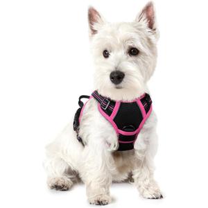 rabbitgoo Dog Harness No Pull with 2 Leash Clips, Adjustable Soft Padded, Reflective Oxford No Choke Pet Vest with Easy Control Handle for Large Dogs, Black & Hot Pink, XS