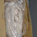 Litanika Queen Comforter Set Beige, 3 Pieces Lightweight Fluffy Solid Bedding Comforter Set, Down Alternative Comforter All Season Bed Set Gift Choice