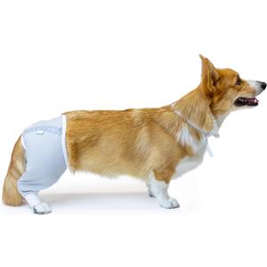 Hip and Thigh Wound Protective Sleeve for Dogs. Dog Recovery. Recommended by Vets Worldwide (Small - Short Sleeve, Gray)