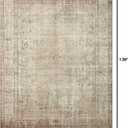 Loloi Margot Antique / Sage 8'-6" x 11'-6" Area Rug