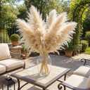JOHOUSE 16PCS 40'' Dried Pampas Grass Home Decor - Fluffy Real Tall Pampas Grass for Floor Vase Boho Bedroom, Wedding & Rustic Farmhouse