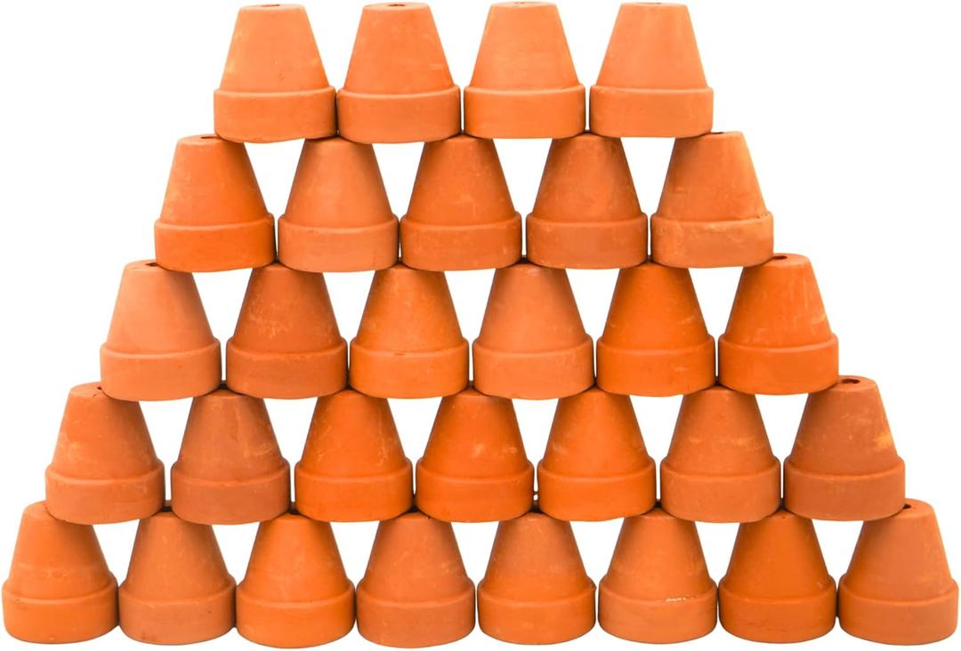Mini Terracotta Pots  Small Clay Flower Pots for Succulents, Cactus, DIY Crafts, Fairy Garden, School Projects, Mini Planters, Set of 30 (Classic Cylinder, 1 Inch)