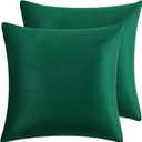 RainRoad Dark Green Throw Pillows Covers Set of 2 Soft Velvet Decorative Pillow Covers 20x20 Inch for Couch Bed Dark Green, 20" x 20" (Pack of 2))