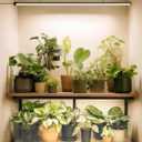 Grow Light with Auto-Timer, Hanging and Standing Grow Lights for Indoor Plants,3 Light Modes, Detachable Full Spectrum Plant Lights for Wide Area Coverage in Indoor Plants (45 in)