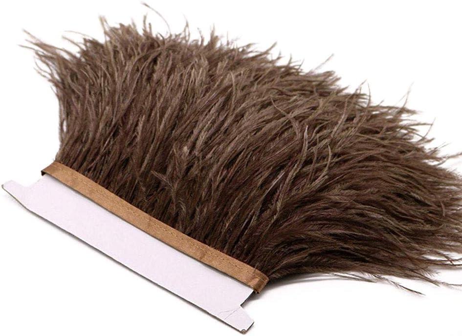 YEQIN 2 Yards Natural & Soft Ostrich Feathers Fringe Trims Ribbon - Used for Dress, Sewing Decoration, Craft Clothing, Boots, Wedding Decoration, DIY, Etc (Brown) YEQIN 2 Yards Natural & Soft Ostrich Feathers Fringe Trims Ribbon - Used for Dress, Sewing Decoration, Craft Clothing, Boots, Wedding Decoration, DIY, Etc (Brown)