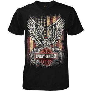 Harley-Davidson Men's Custom Freedom Short Sleeve Crew Neck Tee - Black (3X-Large)