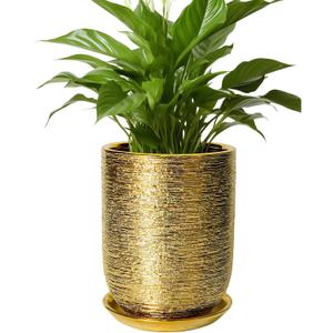 Indoor Plant Pot 8 Inch - Ceramic Planter for Indoor Outdoor Flowers, Round Modern Flower Pot with Drainage Hole and Saucer, Gifts for Plants Lovers, Garden Room Decor, Gold