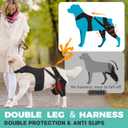 Dog Knee Brace for Torn Acl Hind Leg, Adjustable for Back Leg with 4 Stabilizers, Reduces Pain, Ligament Injuries & Luxating Patella for Small Medium Large Dogs, (Solid Black-M)
