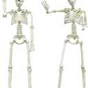 CAMIRUS 2PACK 36" Skeleton Halloween Decorations, 3ft Life Full Size Skeleton with Realistic Posable Movable Joints for Halloween Haunted Houses, Lawn, Graveyard