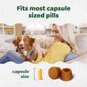 Greenies Pill Pockets for Dogs Large Size, Dog Treat Pouch for Capsule Medication, Chicken Flavor, (6) 7.9 oz. Pouches (EXP 12/16/26)