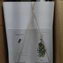 6FT Artificial Dracaena Tree, Fake Tree Indoor with White Tall Planter,Tall Artificial Plants Indoor,Artificial Silk Tree for Home Office Decor (White)