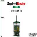 Squirrel Buster Suet Squirrel-Proof Suet Bird Feeder with Two Suet Cake Trays, Two Crumb Ports, Mess-Free Suet Loading, Durable Green Design for Clinging Birds
