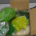 6 Colors Preserved Moss-16.9 OZ Natural Reindeer Moss-Moss for Crafts, Potted Plants Floral Arrangements Home Artistic Garden Decoration