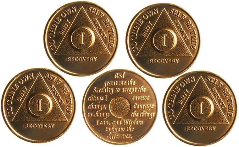 AA Sobriety Coins 1 Year Set (5 Pack) Metal Medallions – Alcoholics Anonymous Anniversary Chips for Recovery Milestones