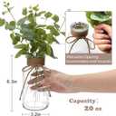 12 Pack Glass Flower Vases with Rope,Brajttt Vintage Bud Vases in Bulk,Mason Jars for Centerpieces,Flower Vase for Centerpieces and Tag for Weddings,Home Decor & DIY Projects