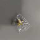 Gold Colored Star Pins