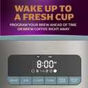 Mr. Coffee® 12 Cup Coffee Maker, Coffee Maker with Decaf Brew and Iced Coffee Brew Settings, Small Batch Setting for 1 to 4 Cups, Reflection