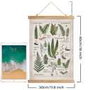 XIAOAIKA Botanical Fern Varieties Poster - Vintage Illustrated Guide with Wooden Frame - Educational Plant Wall Art for Home, Office, or Classroom Decor 20 x 30 Inches