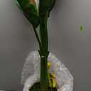 Nearly Natural 3ft. Banana Artificial Tree in Terracotta Planter