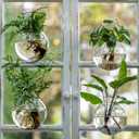 4 x Window Propagation Stations, Oblate Glass Terrariums Planter with Suction Cup Hook, Wall Hanging Planters for Hydroponics Plants, Home, Office, Bathroom, Living Room Decor, Gift for Plant Lovers (4)