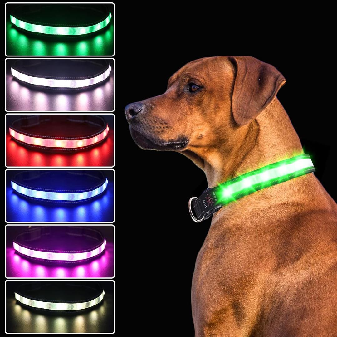 Light Dog Collar - USB Rechargeable Super Bright Luminous Dog Collar for Dogs and Cats, Adjustable Length, Waterproof Dog LED Collar (S, Black)