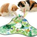 Interactive Cat Toys for Indoor Cats,Hide and Seek Cat Toys with Moving Concealed Wand Feather,Mouse Squeaky,Rechargeable Touch Activated Cat Kitten Toy for Indoor Bored Adult Cats(Green)