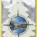 Little Trees Car Air Freshener 6-Pack (True North)