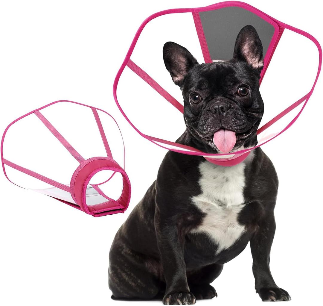 Clear Dog Cone, Elizabethan Collar for Dogs to Stop Licking, Plastic Pet E-Collar Alternative After Surgery, Adjustable Dog Recovery Cone for Wound Healing (M)