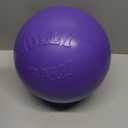 Jolly Pets Push-n-Play Ball Dog Toy, 10 Inches/Large, Purple